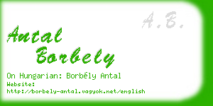 antal borbely business card